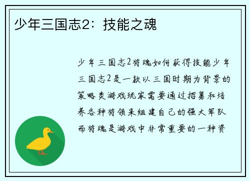 少年三国志2：技能之魂